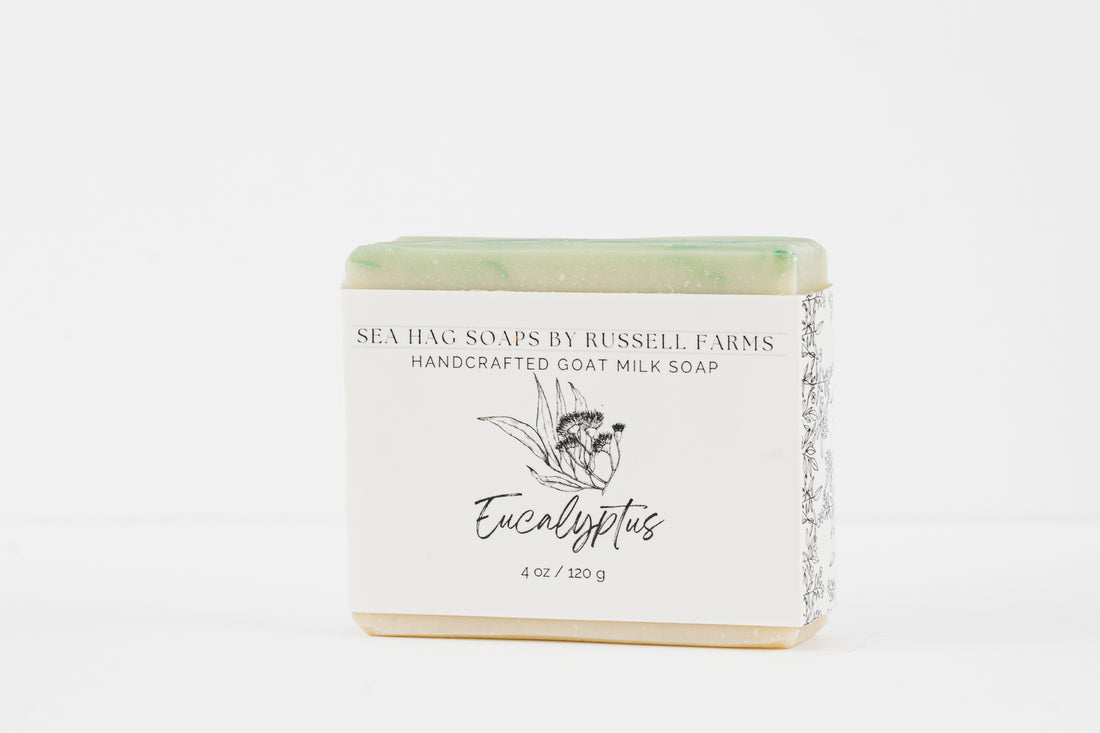 Eucalyptus Goat Milk Soap