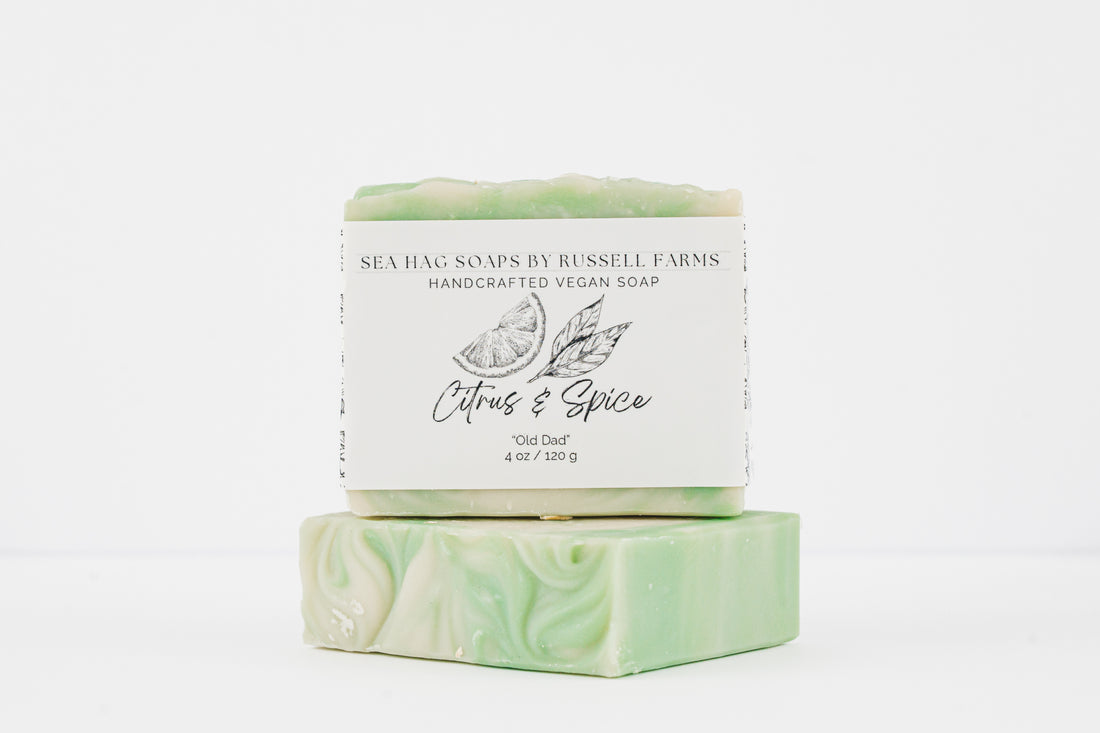 Citrus &amp; Spice Vegan Soap