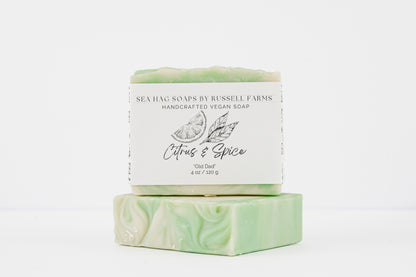 Citrus &amp; Spice Vegan Soap